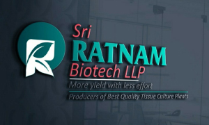 sri-Ratnam